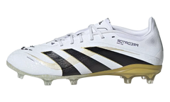 Predator Elite FG GS "Road to Glory" JI1180
