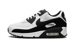Air Max 90 "Panda" CN8490 101