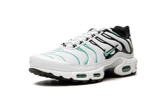 Air Max Plus "Atmos" 604133 148