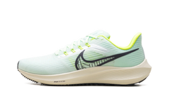 Air Zoom Pegasus 39 "Green" DH4071-301