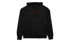Jordan Wordmark Fleece Hoodie "Purple / White" DV6463 010