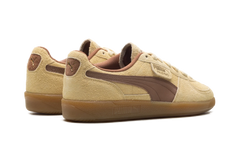 Palermo OG "Chamomile Brown Mushroom" 397251 01