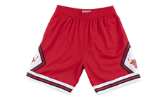 Chicago Bulls Swingman Shorts "1975 - 76 Road" 2FU5I9MD