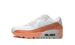 Air Max LTR 90 GS DM0956 100