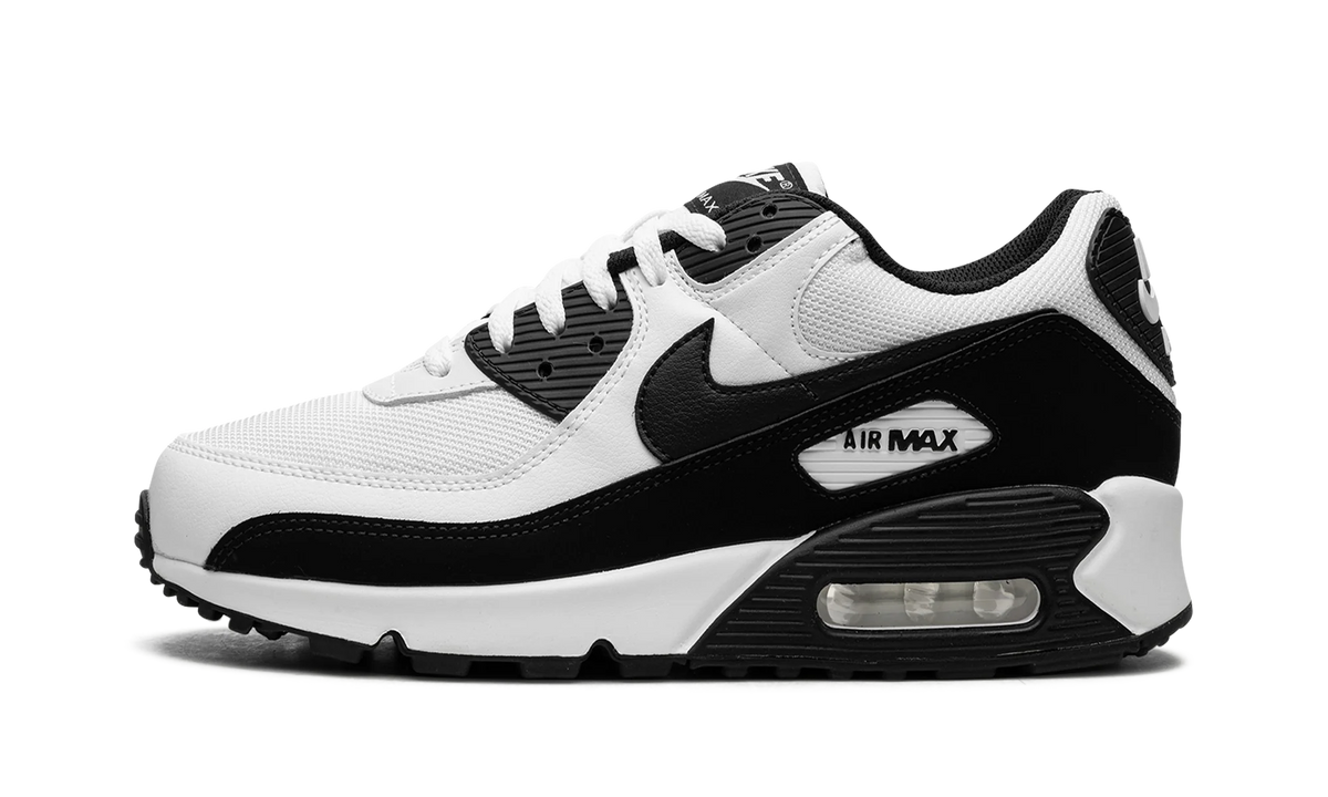 Air Max 90 "Panda" CN8490 101