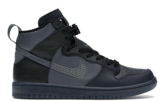 Dunk High FPAR