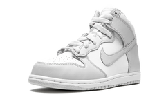 Dunk High PS "Vast Grey" DD2314 101
