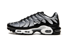 Air Max Plus "Black / Silver" DM0032 003